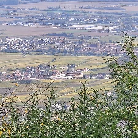 Sur La Route Du Vin Villa Rorschwihr Buitenkant foto