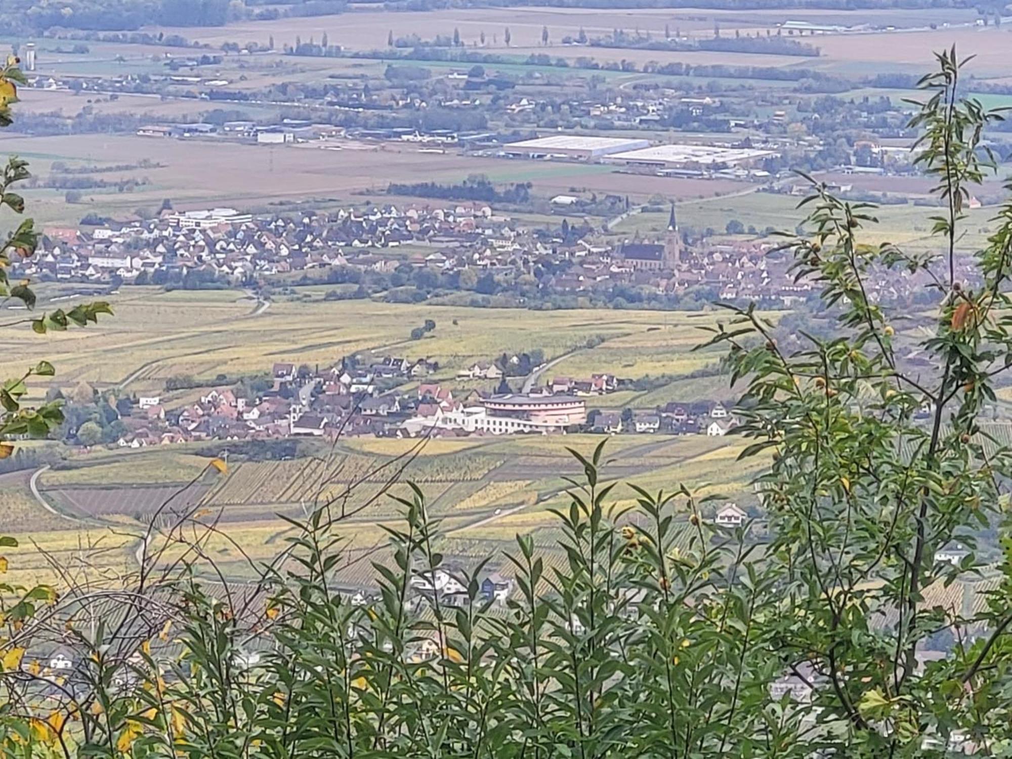 Sur La Route Du Vin Villa Rorschwihr Buitenkant foto